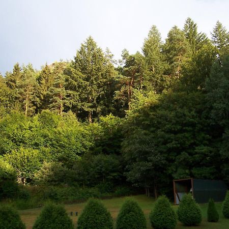 Ferienwohnung Am Pfaffenfels Schönau 外观 照片