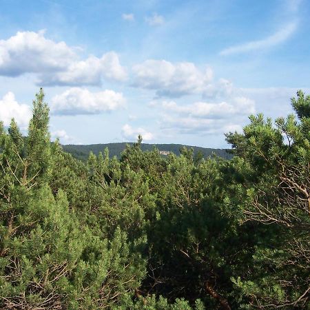 Ferienwohnung Am Pfaffenfels Schönau 外观 照片