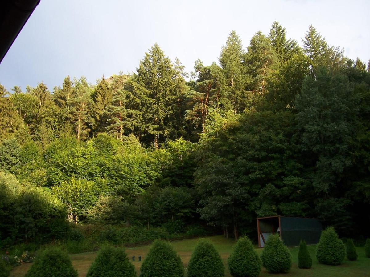 Ferienwohnung Am Pfaffenfels Schönau 外观 照片
