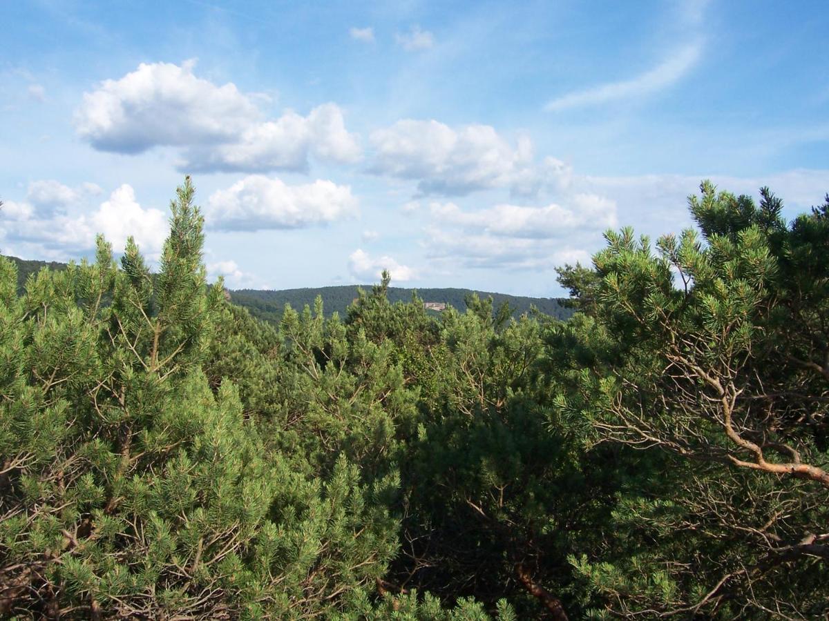 Ferienwohnung Am Pfaffenfels Schönau 外观 照片